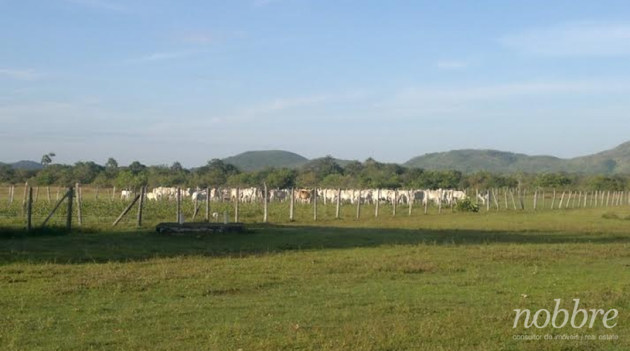 Fazenda para vender em Roraima